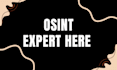 online investigation on your target individual