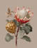 draw a realistic botanical illustration