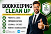 do quickbooks online bookkeeping, setup, cleanup and catchup accounting