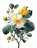 do an beautiful vintage botanical illustration