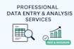 data entry excel web research copy paste services