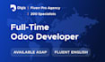provide a full time odoo developer