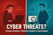 perform malware analysis, digital forensics and review security logs