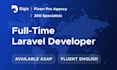 provide a full time laravel developer
