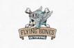 do modern professinal custom flying, skydiving logo design