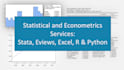 do statistical and econometrics analysis