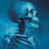 draw detailed medical illustrations