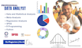 do research, statistics data analysis in spss, excel, r, python