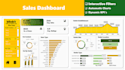 create excel professional dashboard, and pivot tables