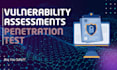perform vulnerability assessment penetration testing on your web application