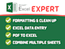 do ms excel data cleaning and formatting, merging, sorting