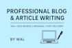 professional articles and blogs writing accept eth payments