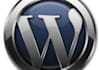 help you install wordpress and plugins from zip files or wordpress search