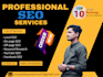 provide professional SEO to rank your website and business