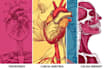 draw exercise, medical and anatomy illustrations