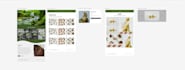 build a shopify website