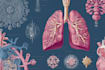 create medical illustrations and diagrams