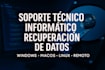 provide professional IT support and data recovery services