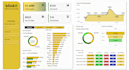 create data visualization dashboards to track growth