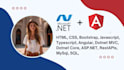 develop full stack asp net core and angular web applications