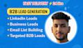 do b2b,lead genration ,email,linkedin,b2b for any industry