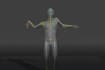 rig 3d game mod,retarget animation,vrml avatar rigging,ue5 nsfw face rig,unity3d