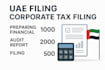vat registration corporate tax returns