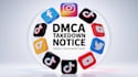 send dcma takedown facebook instagram reddit tiktok telegram google