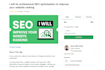 do professional SEO optimization