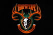 do modern professional high quality deer logo