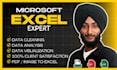 clean, format and organize your excel data in 24 hours