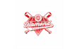 design creative youth baseball team logo