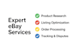set up and optimize your ebay store