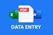 fast accurate data entry, PDF to word,excle, web search