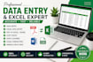 data entry, clean, merge, format, split exceldata