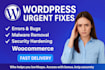 fix wordpress issues woocommerce setup theme plugin SSL backup and customization