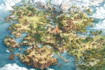 create your fantasy map