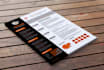 provide Professional RESUME Services