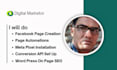 set up facebook page, ad campaigns, meta pixel, capi, seo