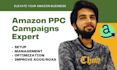 setup amazon ads campaign to increase sales, amazon ppc setup and management