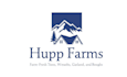 design amazing christmas tree farm logo