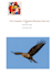 do best write blog for your