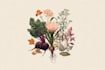 create botanical illustration of flower logo illustration