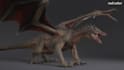 create realistic 3d animal creatures 3d animal animation character rigging