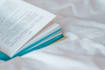write and edit high quality educational blogs website content