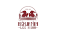 design iconic memorable buffalo logo