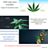 build cbd, cannabis SEO links via da50 plus guest posts with indexing