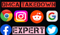send takedown expert fb,insta,reddit,google,twitter