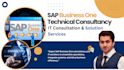 provide you with consultation on sap b1 and IT development