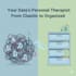 analyze, transform and elevate your data into clear reports
